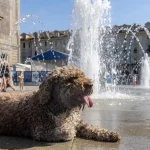 La ola de calor se recrudece en Europa, dos niños muertos