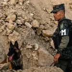 Binomios caninos de la PMOP fueron clave en localización de víctimas tras derrumbe en Loarque