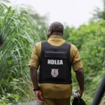 Cómo los cárteles mexicanos han expandido los laboratorios de metanfetamina en África
