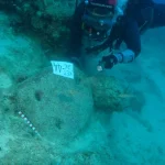 El impresionante hallazgo frente a las costas de Turquía del naufragio más antiguo del mundo