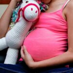 ¿Quién autorizó publicar la ley vetada sobre embarazo adolescente?