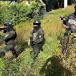 FFAA aseguran 16,500 arbustos de hoja de coca en zona montañosa de Colón