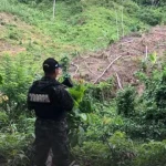 FFAA despliegan 192 efectivos para acciones de rescate durante Feriado Morazánico