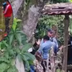 Hombre es hallado decapitado dentro de una vivienda en Lepaterique